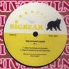 12-дюймовая пластинка BIG BEAR - Your Favourite Dancer EP 1 BB027 Big Bear 2005 UK Dance & Electronica Б/у