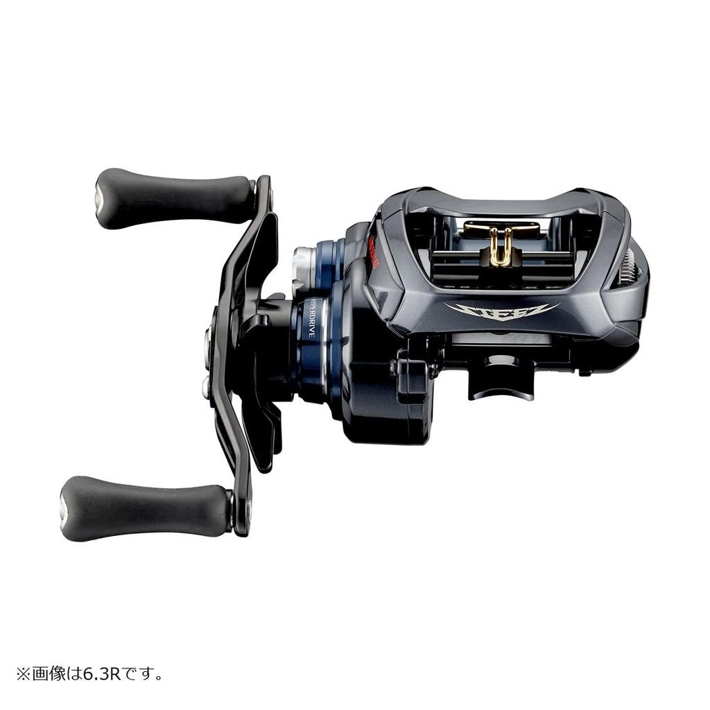 Daiwa Baitcasting Reel Steez A TW HLC 8.1R