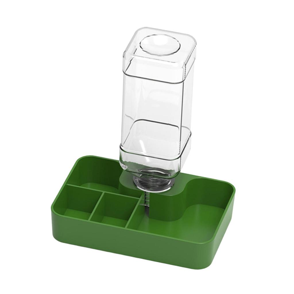 Reptile Feeder Amphibians Accessory Multi Compartments Automatic Water Dispenser for Chameleon Snake Gecko Turtle Tortoise