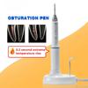 Dental Gutta Percha Obturation System with 2 Tips Wireless Endo Gutta Percha Obturation Pen Root Canal Therapy Heating Tool
