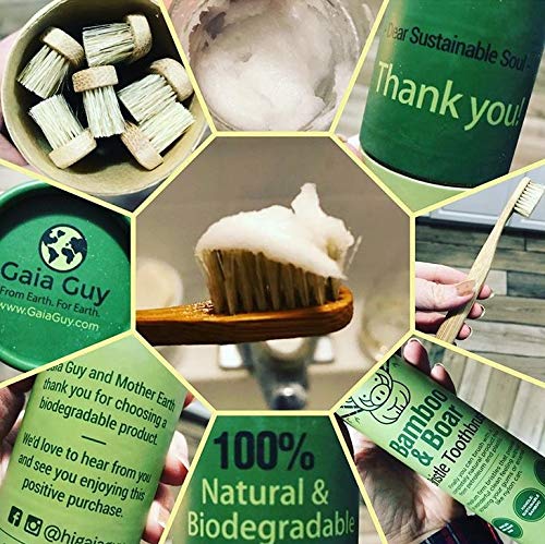 Natural Bristle Bamboo Toothbrush Completely Biodegradable Pig Handle Zero Waste Set of 6 (Nylon Free) - 100% Bristle/Bamboo -