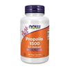 Propolis 1500 5:1 Extract, 100 Veg Capsules