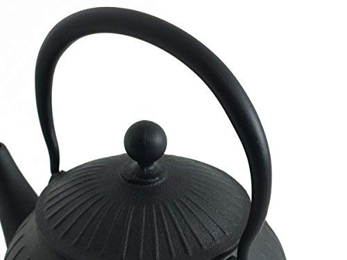 Ichikudo Oigen Iron Kettle Chigusa Made In Japan Black 1.15L H-154