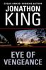 Книга Eye of Vengeance