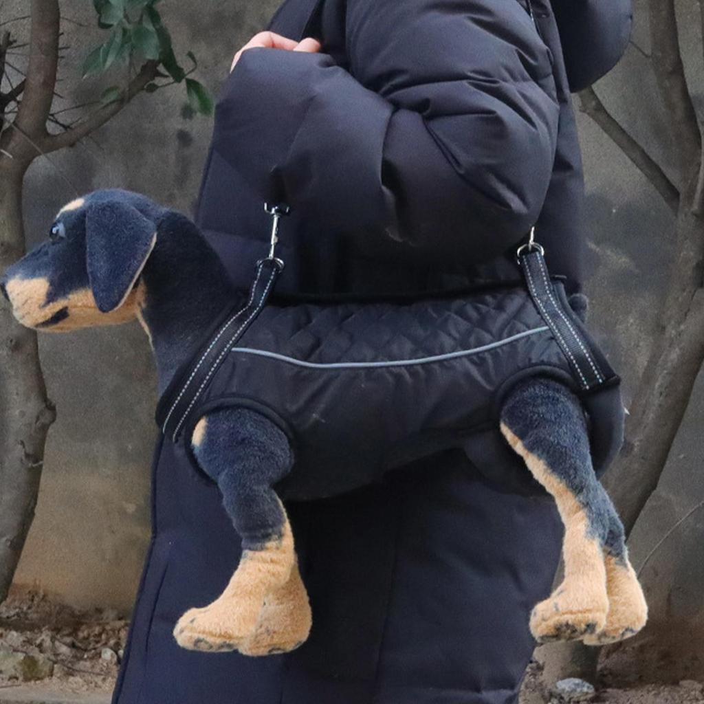 Регулируемая шлейка для поддержки собак, обеспечивающая помощь в передвижении