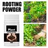 Порошок гормона укоренения для умеренно легко укореняемых растений. Порошковый состав для укоренения для сильного здорового роста корней.