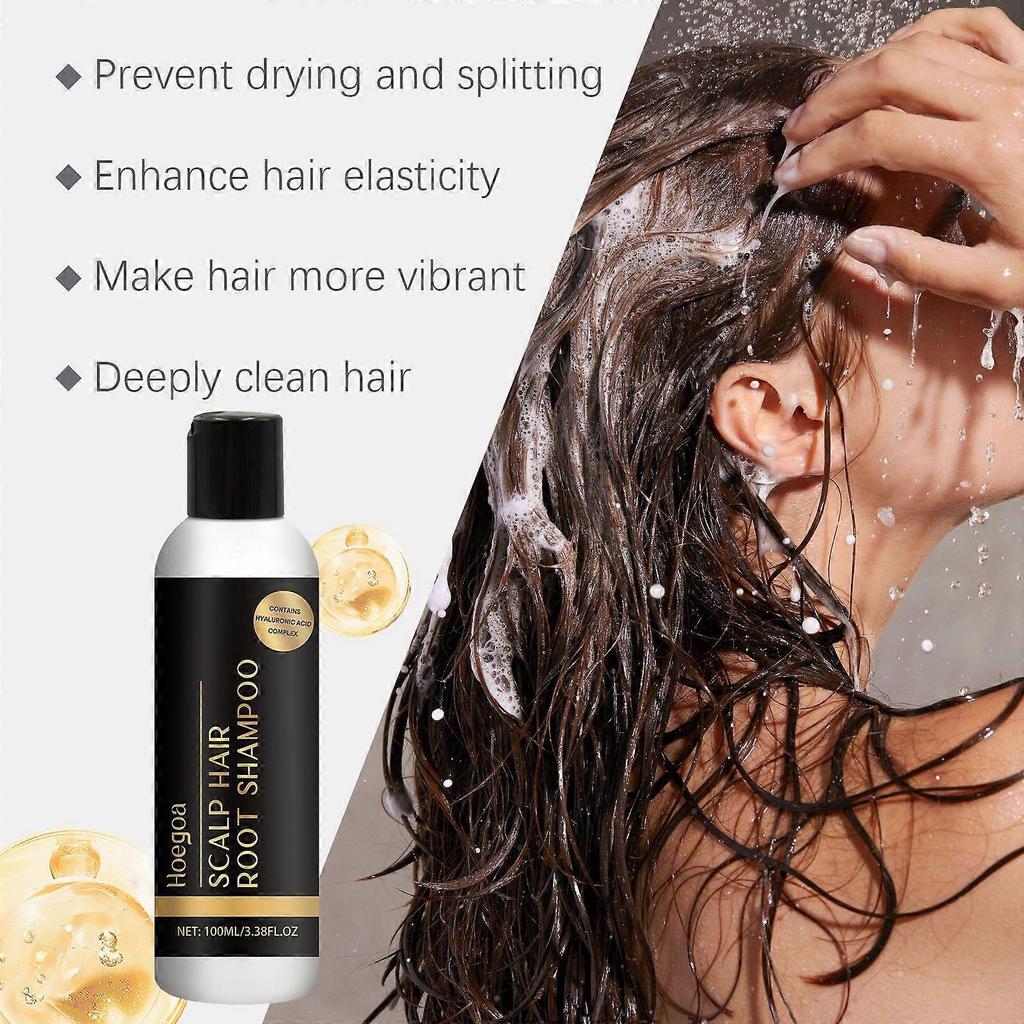 Hoegoa Nourishing Care Shampoo - Moisturizes Scalp, Smooths Hair, Controls Oil, Adds Volume, Long-Lasting Fragrance, Gentle Shampoo