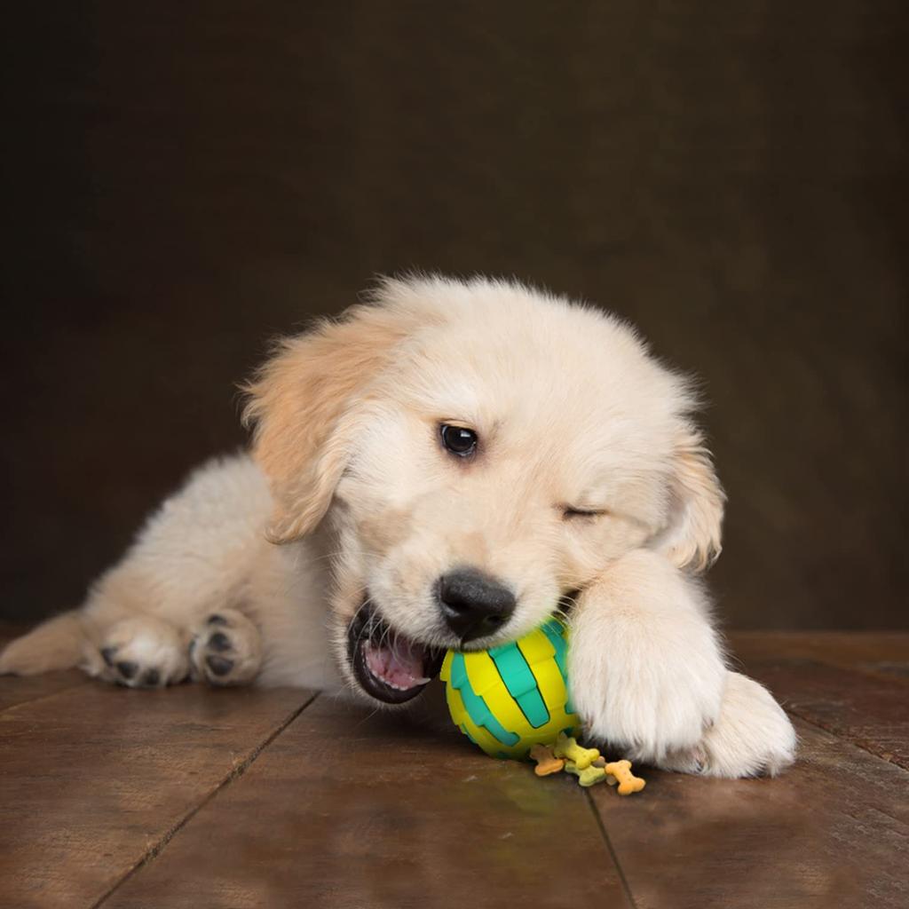 PLATZ PET SUPPLISES FUN Dog Toy Educational Toy Unipod Jaggy Pink S Size &