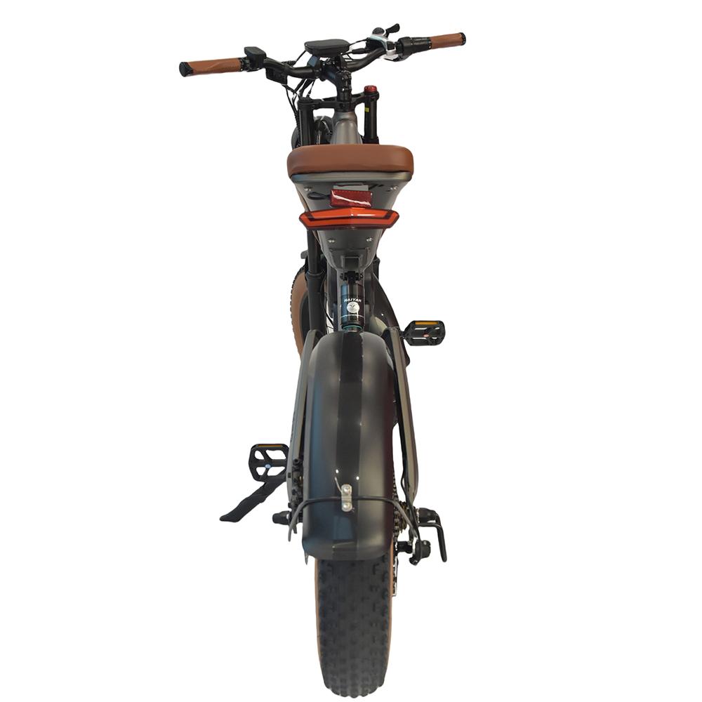 DYU M20 Electric Dirt Bike 20inch with 48V 18.2AH Battery