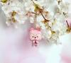 [Б/У] Куплен в Корее брелок-фигурка BT21 mang
