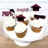 16Pcs Sparkling 2025 Graduation Cupcake Decoration Graduation Season Theme Party Decoration