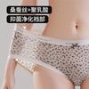 Leopard Print Ice Silk Seamless Women's Underwear