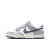 Nike Dunk Low Серый/Парусный FB9109-101