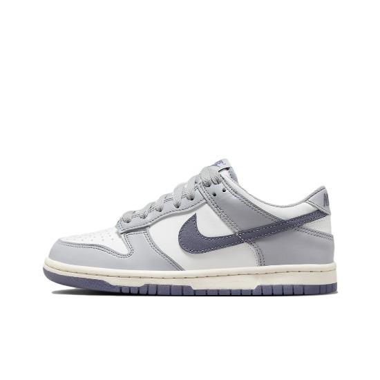 Nike Dunk Low Серый/Парусный FB9109-101