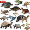 Oenux Ocean Animals Leatherback Tortoise Turtle Growth Cycle Sea Life Model Figurines Action Figures Pvc Education Kid Toy Gift