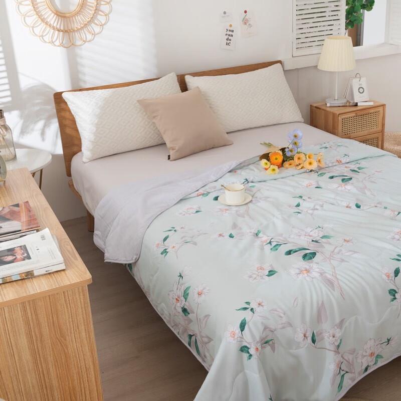 Duohuxi Washable Velvet Summer Quilt