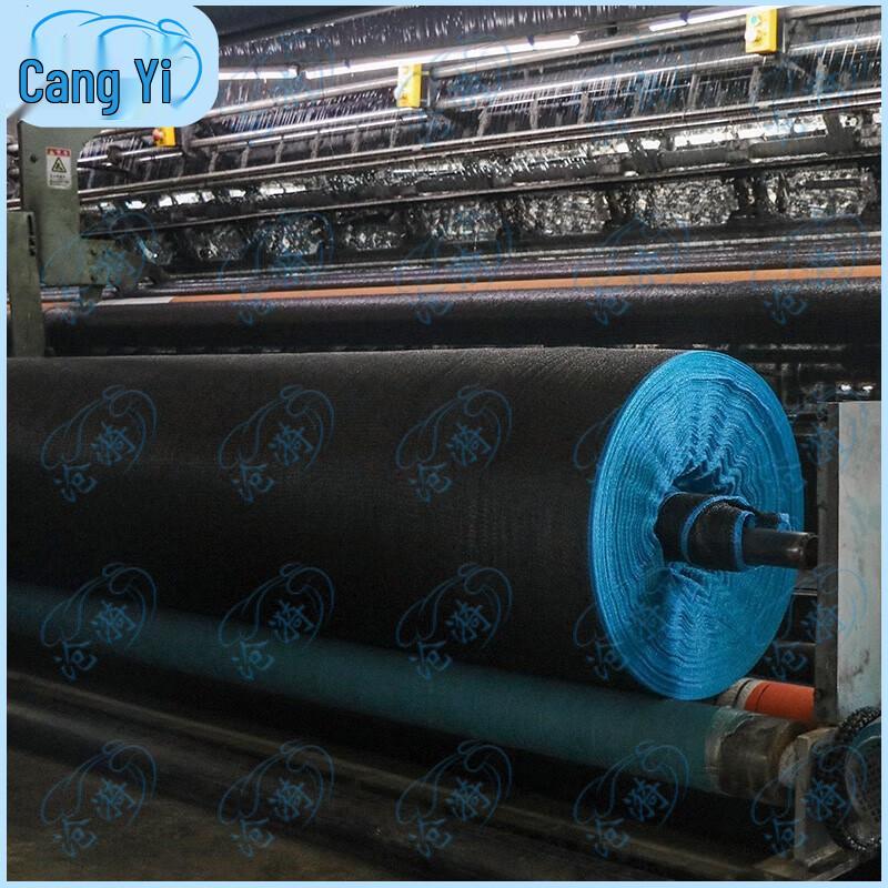 Cangyi Black Sun Shade Net