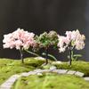 Plastic DIY Accessories Decoration Fairy Crafts Miniatures Simulation Tree Terrarium Landscaping