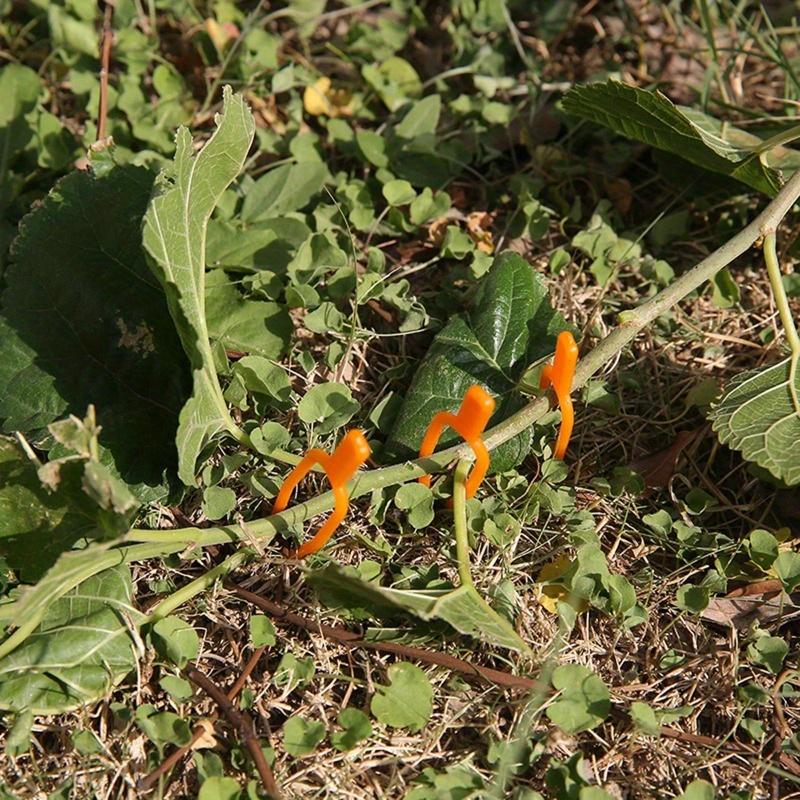 100 шт. Зажим для растений Вилка для клубники Садоводство Пластик Экологичный Оранжевый Прочный Фиксирующий Зажим Инструменты для фиксации растений