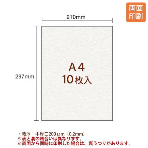 Plus Inkjet Paper Japanese Paper Medium Thick A4 10 Sheets IT-324J 45-295