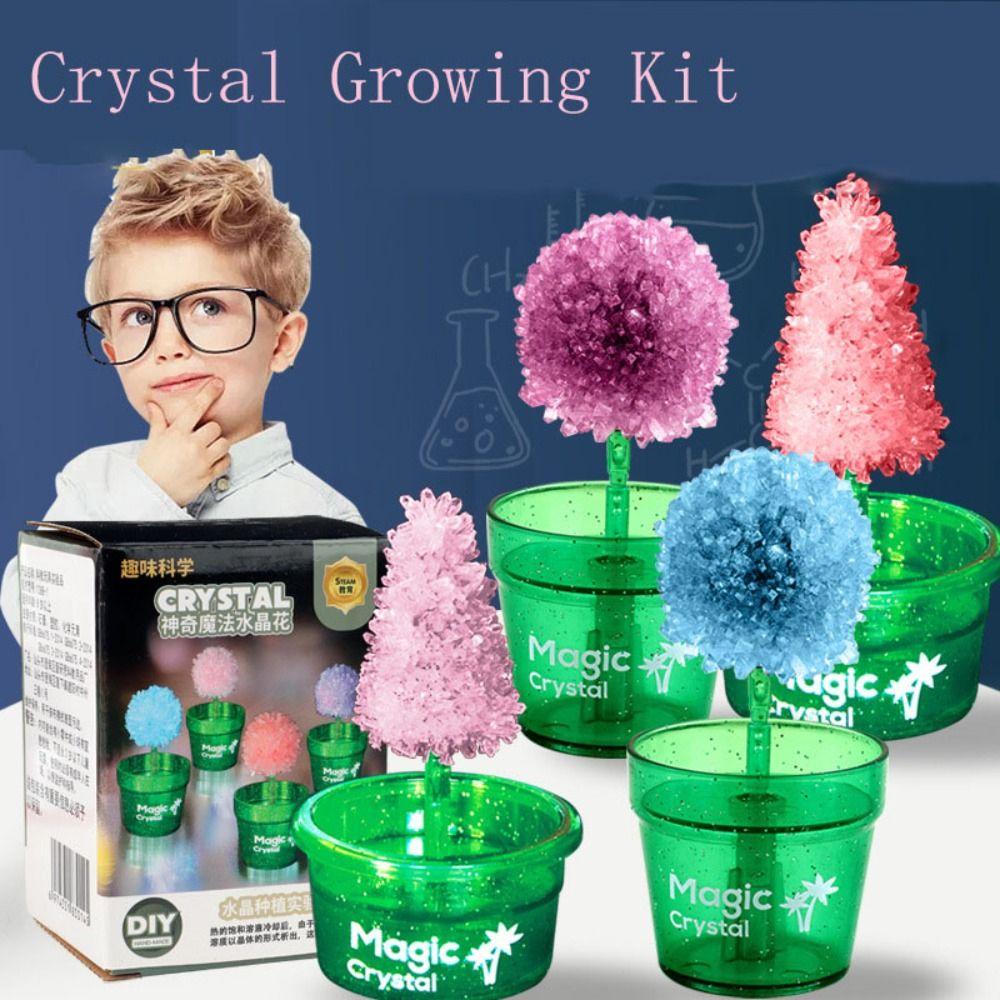 Colored Crystals Crystal Trees Growing Kit Flower Shaped Crystal Making Kit Girls