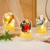 Led Glow Eternal Flower Стеклянная крышка Подарок на день рождения Девочке День матери День святого Валентина День учителя Моделирование Роза