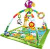 Fisher Price Rainforest Deluxe Gym II Months and DFP08 [0 Up] [Educational Toy] [Cloth Toy]