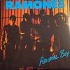 LP Record RAMONES - Animal Boy R125433 RHINO 2024 US Rock