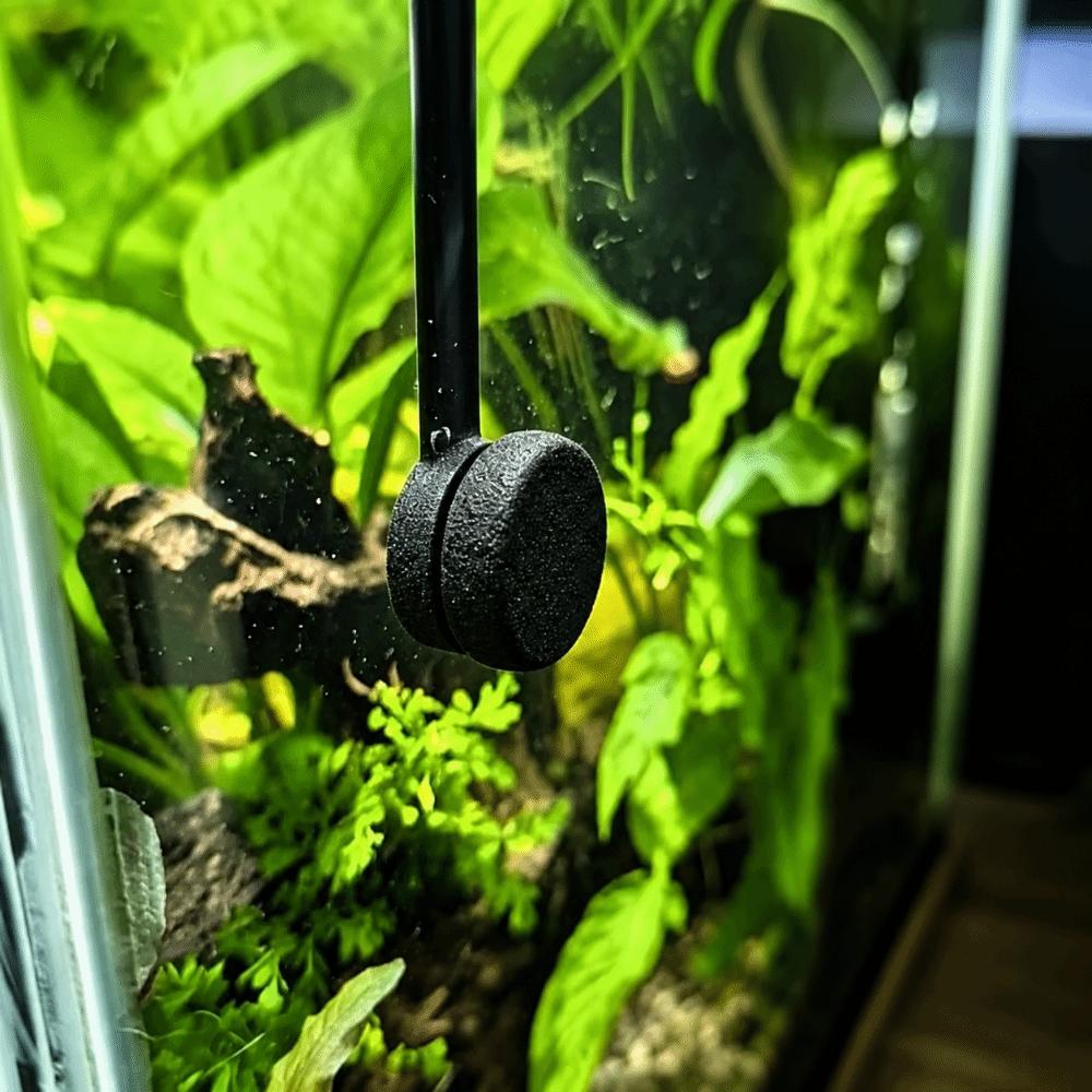 Food Scattering Prevention Aquarium Feeding Ring Magnetic Mounting Fish Food Hoop Aquarium