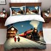 3Pcs Vintage Travel Christmas Bedding Set Polyester Adventure Map Print Duvet Cover Queen Size for Adult Bedroom Unique Retro Ho