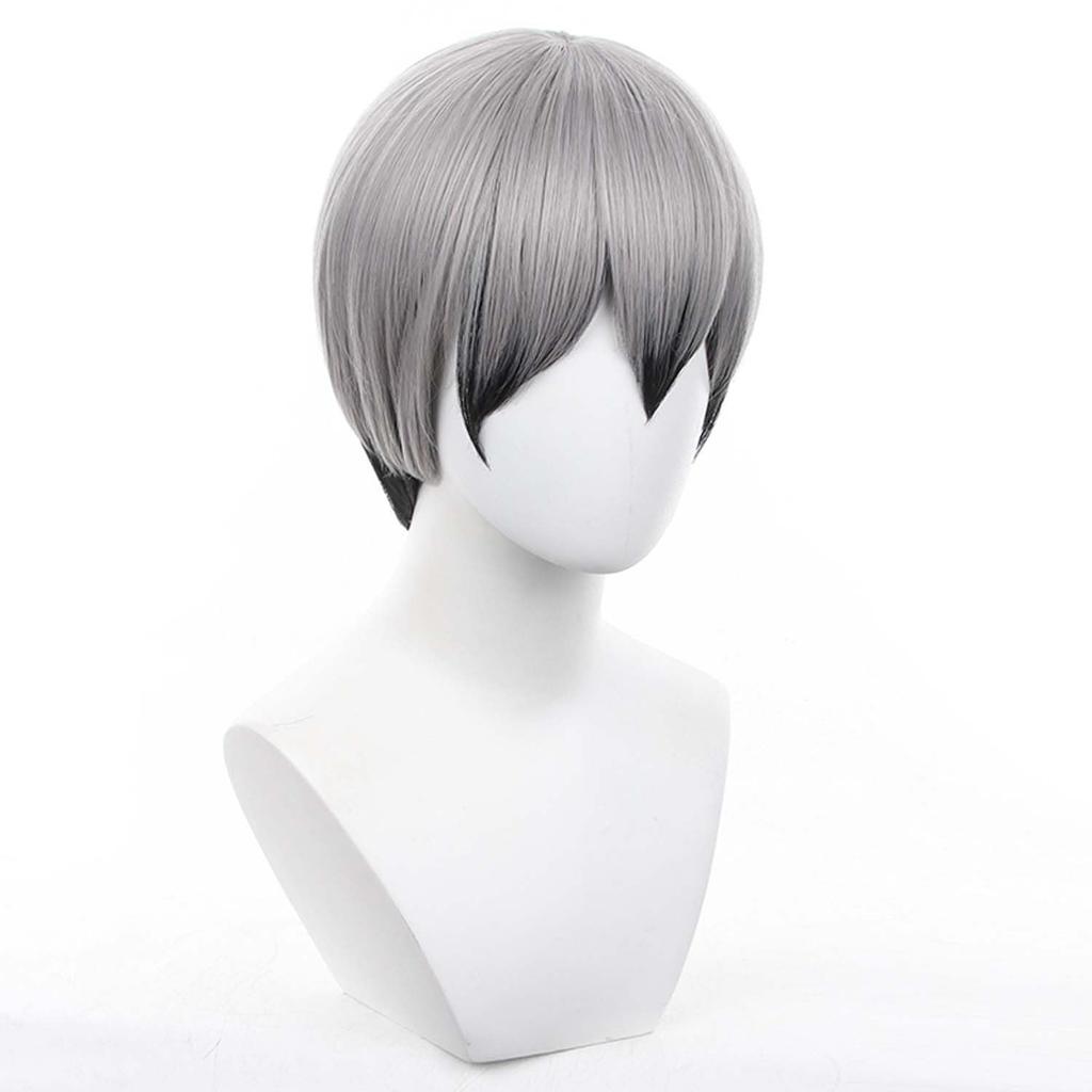 Short Anime Character Cosplay Perfect for Comic Market Cultural School and Other Includes Wig Gray/Black Wig, Accessory, Heat-Resistant Wig, Events,