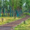 2 шт., ультразвуковой отпугиватель на солнечной энергии, звуковая мышь, суслик, моль, вредители, отпугиватель грызунов, отпугиватель для уличной фермы и сада