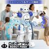 ROBOT PLAZA Гуманоидный Робот Игрушка, Ходит, Говорит по-английски, Игрушка для детей, Подарок на день рождения для мальчиков, Обучающая игрушка, Перезаряжаемый, Инструкция на японском языке