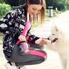Snack Bait Dog Outdoor Portable Training Snack Bag Pet Supplies Strong Wear Resistance Large Capacity Puppy Snack Waist Bag