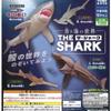Оригинальные Игрушки-Капсулы Sea Life THE SHARK Модели Фигурок-Симуляторов Украшения Игрушки