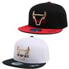 NBA CHI Bulls Металлическая кепка-снепбэк с контурным логотипом