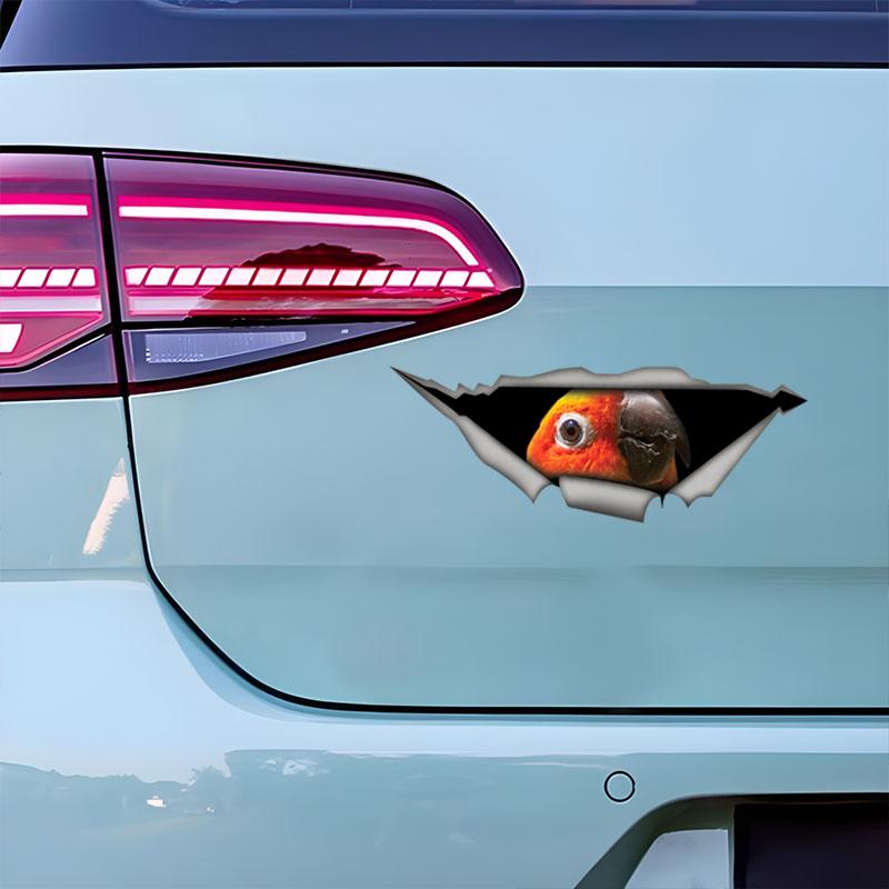 Наклейки на машину с попугаем солнечным аратингой, водонепроницаемые виниловые наклейки, для окон автомобиля, бампера автомобиля, декоративные аксессуары для кузова автомобиля