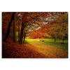 Canvas print, Trees in a park landscape