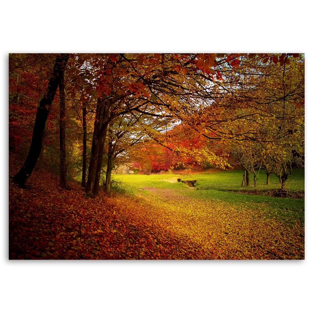 Canvas print, Trees in a park landscape