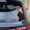 Наклейка на автомобиль President Декоративные наклейки на автомобиль President Decals Наклейки на окна грузовиков Уникальные President 2024