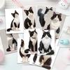 32pcs, cow cat portrait postcards, cat lovers, room decoration stickers, brochure material, souvenirs, collectibles and mailing