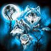 5D DIY Алмазная картина "Четыре лунных волка" Вышивка крестом Горный хрусталь Мозаика Картина