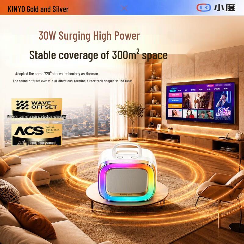Домашняя KTV акустическая система Jinyun K88 с микрофоном (Китайская версия)