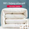 Nanjiren Thickened 100% Xinjiang Cotton Winter Quilt