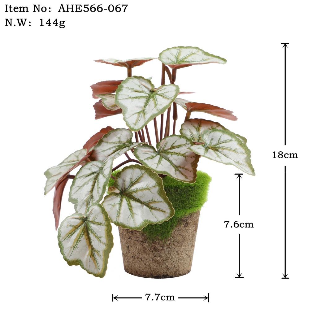 Искусственные зеленые растения для настольного украшения в помещении Эвкалипт Лист банана Спина черепахи Маргаритка Гибискус