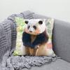 Fubao Милые Наволочки с Пандами для Спальни, Гостиной, Дивана, Домашнего Декора, Полиэстеровая Наволочка для Подушки на Молнии