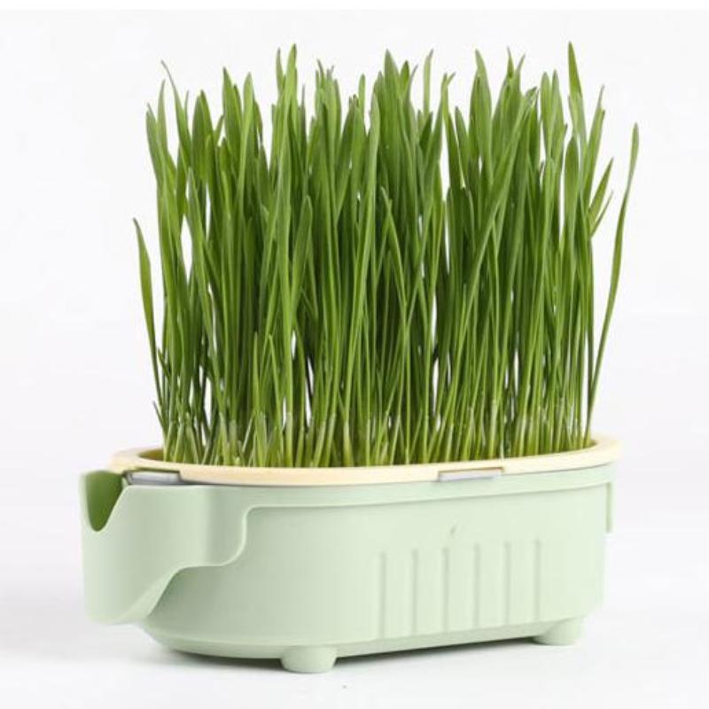 Elephant Cat Grass Cup Hydroponic Cat Grass Box Soilless Planting Easy To Grow Easy Operate Cat Grass Pot Set Pet Supplies