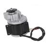 36V 500W Electric Motor 13 Tooth Deceleration DC Brush Motor for Electric Bikes Scooters