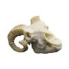 Aquariums Decorated with Aquatic Plants Dinosaurs Crocodiles Sheep Resin Skulls Rhinoceros Ape-man Decoration