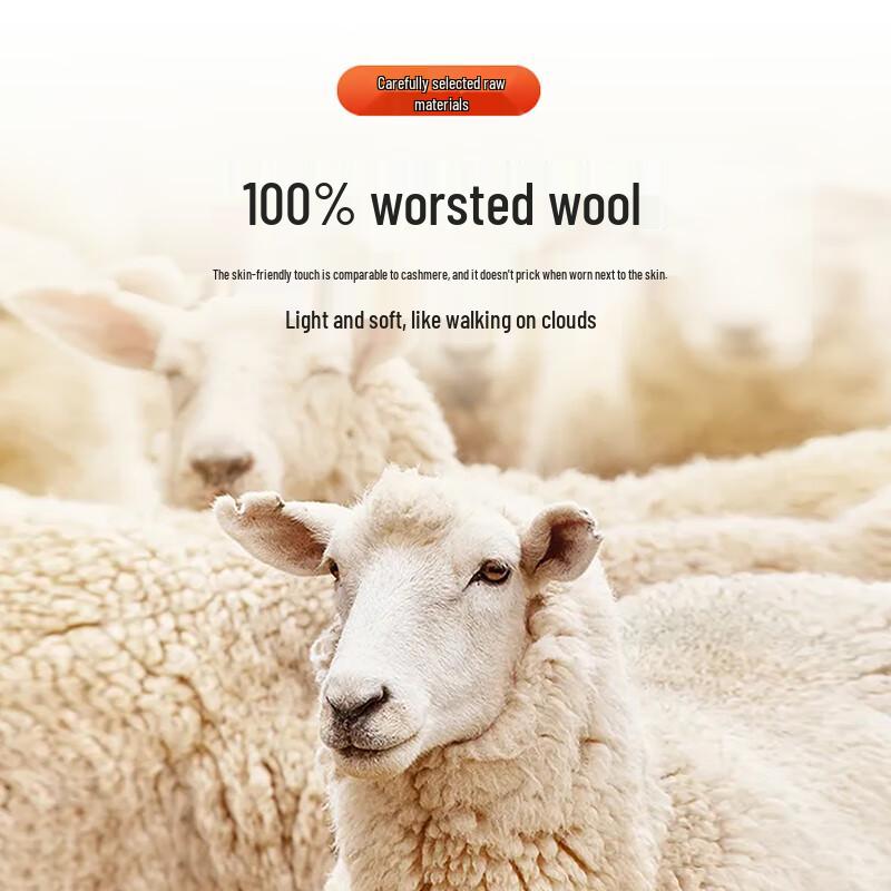 Antonio Men's 100% Wool Stand-Up Collar Sweater